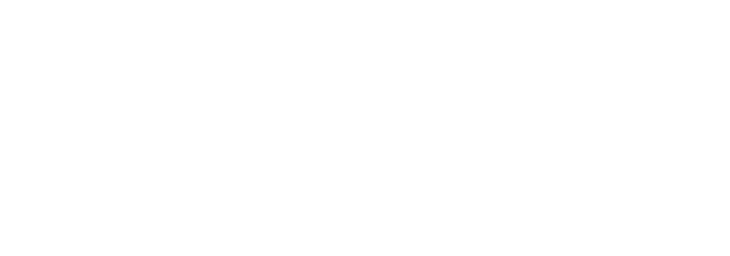 BlackRock White Logo